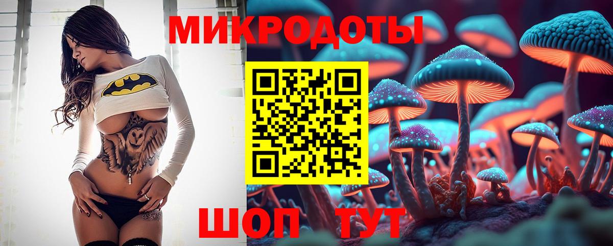 Бузулук  Псилоцибиновые грибы Psilocybine cubensis  Вход с VPN 